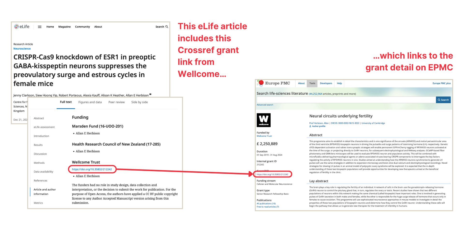 screen shots of the eLife article showing their link to the unique link created by Wellcome as part of the Crossref Grant Linking System